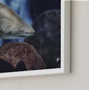 "Night Watch" - Art Print in Driftwood Grey by Hollie Renner Photography - Frame Close-up