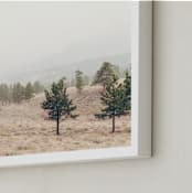 "Rocky Mountain Trees" - Art Print in Milkshake by LindseyErin - Frame Close-up