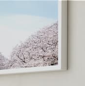 "Hanami" - Art Print in Cherry Blossom by Krissy Bengtson - Frame Close-up