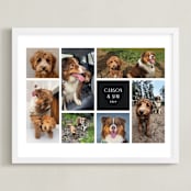 "Seven Photo: Landscape Framed Photo" - Framed Photo in Ebony by Chris Griffith - Framed