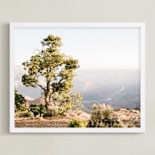 "Canyon Tree" - Art Print in Desert Sand by Anna Western - Framed