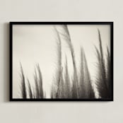 "Willow" - Art Print in Black and White by Sara Heilwagen - Framed