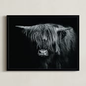 "Majestic Gaze" - Art Print in Black and White by Stephanie Brown - Framed