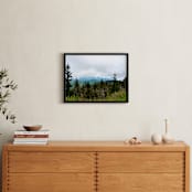 "The Forrest" - Art Print in The Forrest by Hannah Graham - In a Room