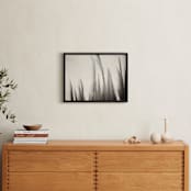 "Willow" - Art Print in Black and White by Sara Heilwagen - In a Room