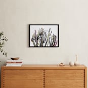 "Colorful Lines Cactus " - Art Print in Black and White by Katie Doherty - In a Room