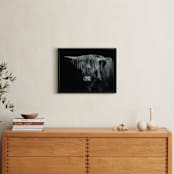 "Majestic Gaze" - Art Print in Black and White by Stephanie Brown - In a Room