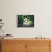"Pathway" - Art Print in Forest by Carol Schiraldi - In a Room