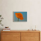 "California Poppy" - Art Print in California Poppy Orange by Elena Kulikova - In a Room