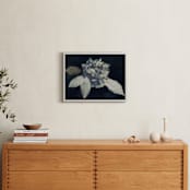 "Hortensia" - Art Print in Midnight by Courtney Crane - In a Room