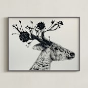 "Flower Stag" - Art Print in Ash by Holly Hudson - Framed