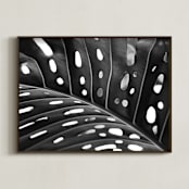 "Peek A Boo" - Art Print in black and white by Amy Chapman Braun - Framed