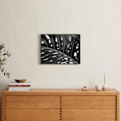 "Peek A Boo" - Art Print in black and white by Amy Chapman Braun - In a Room