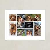 "Seven Photo: Landscape Framed Photo" - Framed Photo in Ebony by Chris Griffith - Unframed