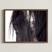 "Bucker" - Art Print in Wild Black by Leslie Le Coq - Framed