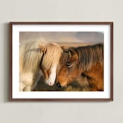 "Icelandic Horses II" - Art Print in Golden by Crystal Lynn Collins - Framed