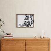 "Joshua Tree in September" - Art Print in Charcoal by Katie Doherty - In a Room