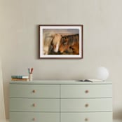 "Icelandic Horses II" - Art Print in Golden by Crystal Lynn Collins - In a Room