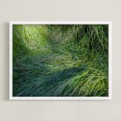 "A Deer Slept Here." - Art Print in Grass by DENiSE CREW. - Framed