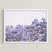 "Jacaranda in bloom" - Art Print in lavender by Owl and Toad - Framed