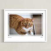"Artifact: Landscape Framed Photo" - Framed Photo in Charcoal by Snow and Ivy - Framed