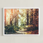 "Redwoods Path" - Art Print in Redwood Path by Elena Kulikova - Framed