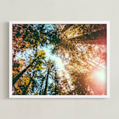 "Redwoods Surround Me" - Art Print in Forest Green by Elena Kulikova - Framed