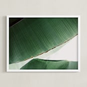 "leaf & light 1" - Art Print in deep ocean green by Alicia Abla - Framed