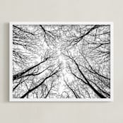 "Lost in the forest" - Art Print in Black and White by Magdalena Kucova - Framed