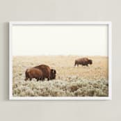 "Bison" - Art Print in Mustard by Kamala Nahas - Framed