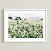 "Dream Field" - Art Print in Garden by Morgan Kendall - Framed
