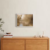 "Golden Light" - Art Print in Golden by Jan McElhinny - In a Room