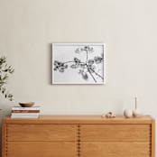 "Botanical Silhouette" - Art Print in Black and White by Kaitlin Rebesco - In a Room