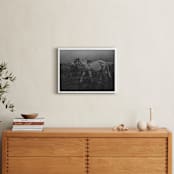 "Frolicking Fille" - Art Print in Charcoal Black by Hollie Renner Photography - In a Room