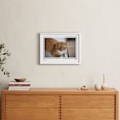 "Artifact: Landscape Framed Photo" - Framed Photo in Charcoal by Snow and Ivy - In a Room
