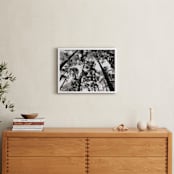 "In the Woods" - Art Print in black and white by lulu and isabelle - In a Room