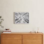 "Lost in the forest" - Art Print in Black and White by Magdalena Kucova - In a Room