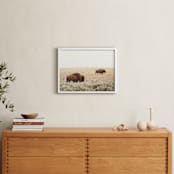 "Bison" - Art Print in Mustard by Kamala Nahas - In a Room