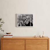 "Las Palmas" - Art Print in Midnite Monochrome by Jonathan Brooks - In a Room