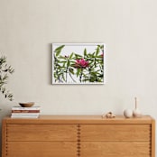 "SPRING TIME IN BLOOM, GOLDEN GATE PARK." - Art Print in Pashion Flower by Thom.Club - In a Room