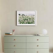 "Dream Field" - Art Print in Garden by Morgan Kendall - In a Room