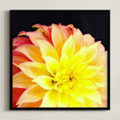 "Spring Noir 9" - Art Print in Sunrise by Sarah Johnson - Framed