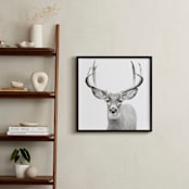 "Buck" - Art Print in Black and White by Stephanie Sherman - In a Room