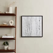 "White Aspens" - Art Print in Black and White by Jessica C Nugent - In a Room