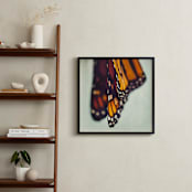 "Monarch Study #5" - Art Print in Monarch Orange by Stacy Kron - In a Room