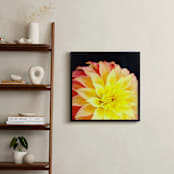 "Spring Noir 9" - Art Print in Sunrise by Sarah Johnson - In a Room