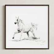 "Horse Study 3" - Art Print in original charcoal by Ramnik Velji - Framed