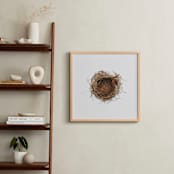 "The Architect" - Art Print in Nestlé by Andrew McClintock - In a Room