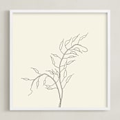 "Wild Radish" - Art Print in charcoal on ivory by Jorey Hurley - Framed