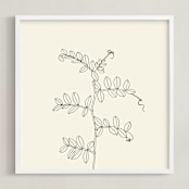 "Wild Pea" - Art Print in charcoal on ivory background by Jorey Hurley - Framed